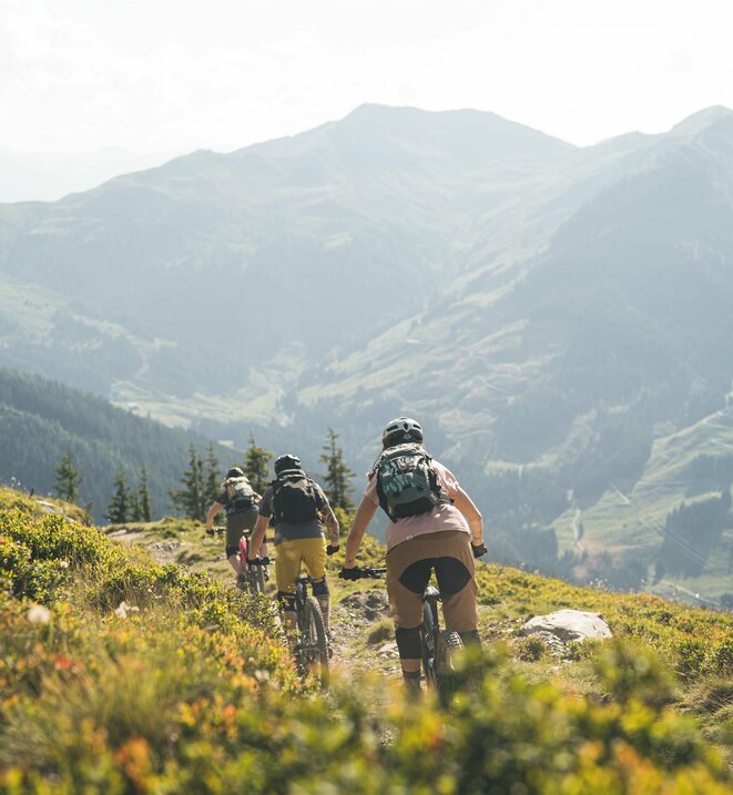 Gruppe von Mountainbikern bei der Abfahrt von der Alm