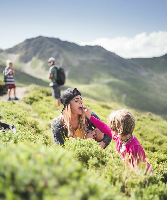 Familie sammelt Blaubeeren